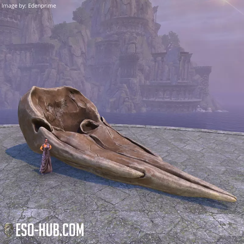 Image 1 of Череп (китовый) ESO
