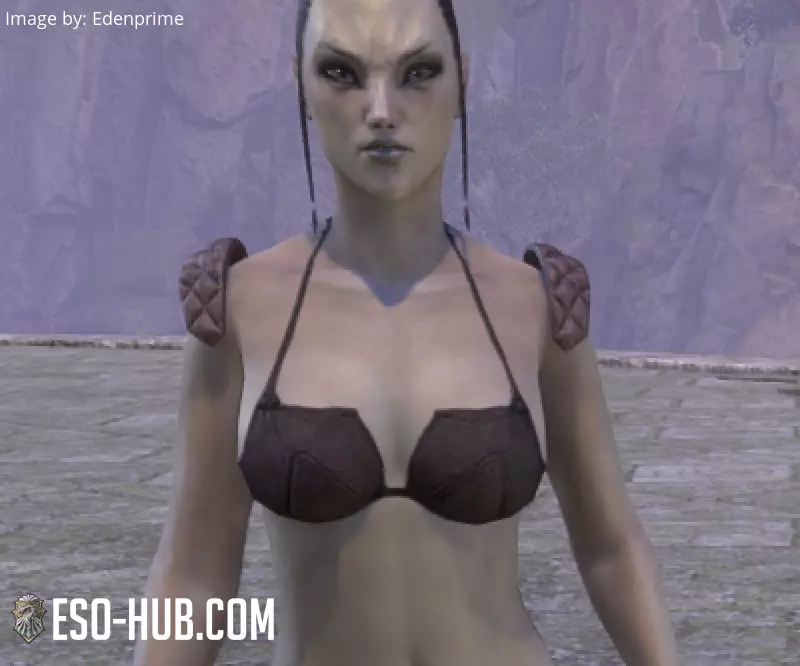 Image 1 of Battlefield Provisioner Epaulets ESO