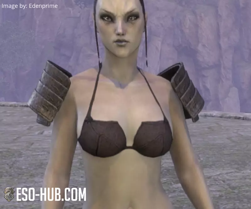 Image 1 of Espaldarones de mercenario pendenciero ESO