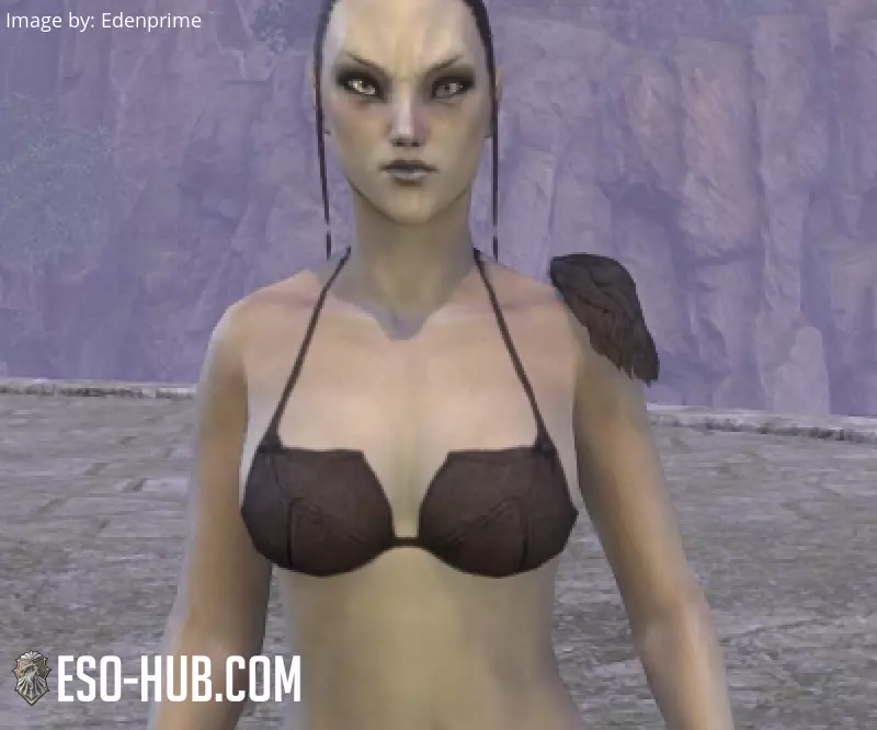 Image 1 of Charreteras "del Cártel Lupino" ESO