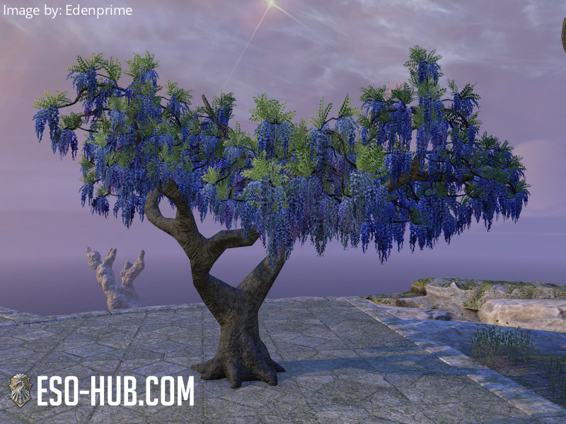 Tree, Blue Wisteria