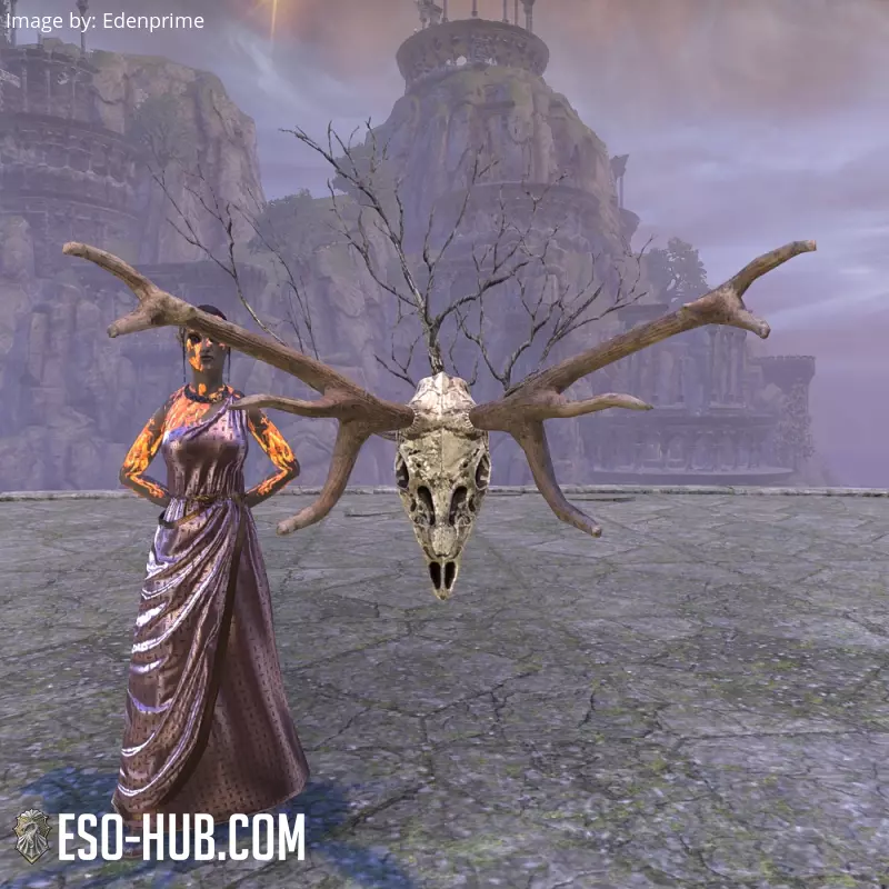Image 1 of Reach Deer Skull, Wall Mount ESO