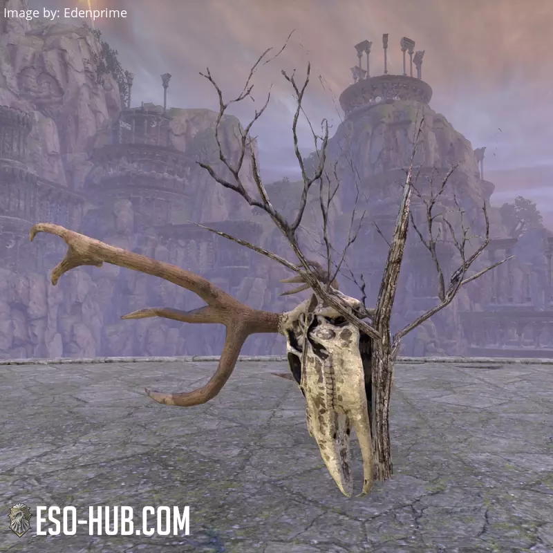 Image 3 of Reach Deer Skull, Wall Mount ESO
