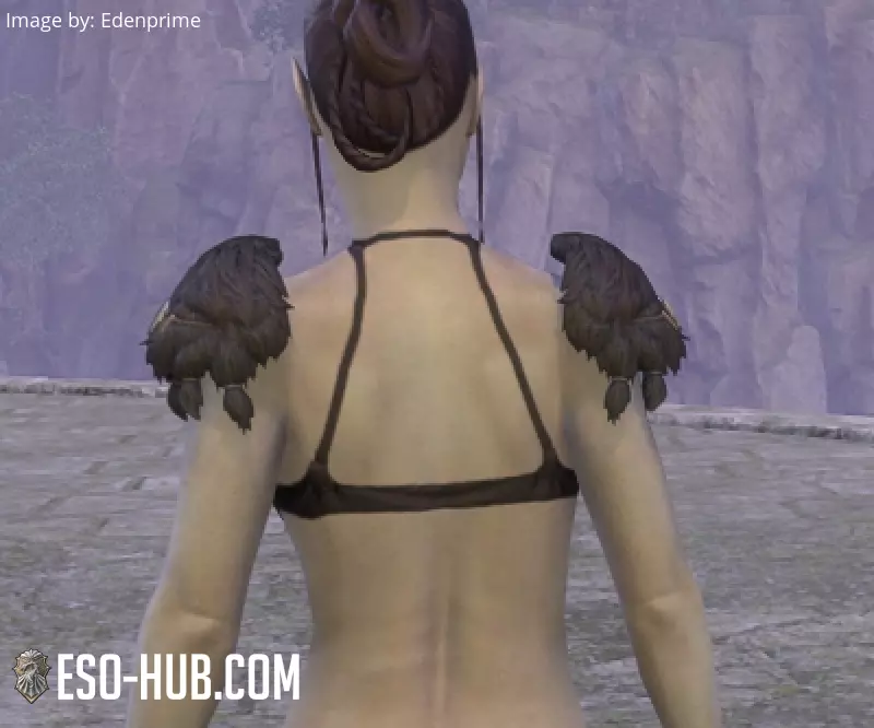 Image 3 of Coques d'épaules du cartel de Koldane ESO