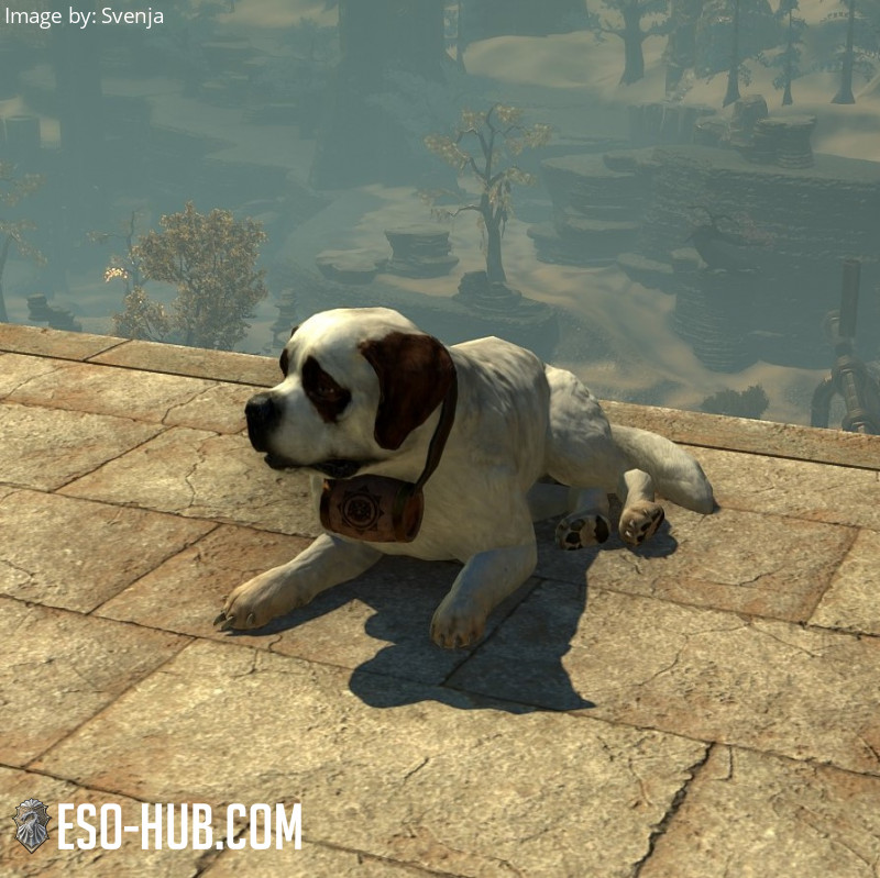 Jerall Rescue Dog - ESO Hub - Elder Scrolls Online