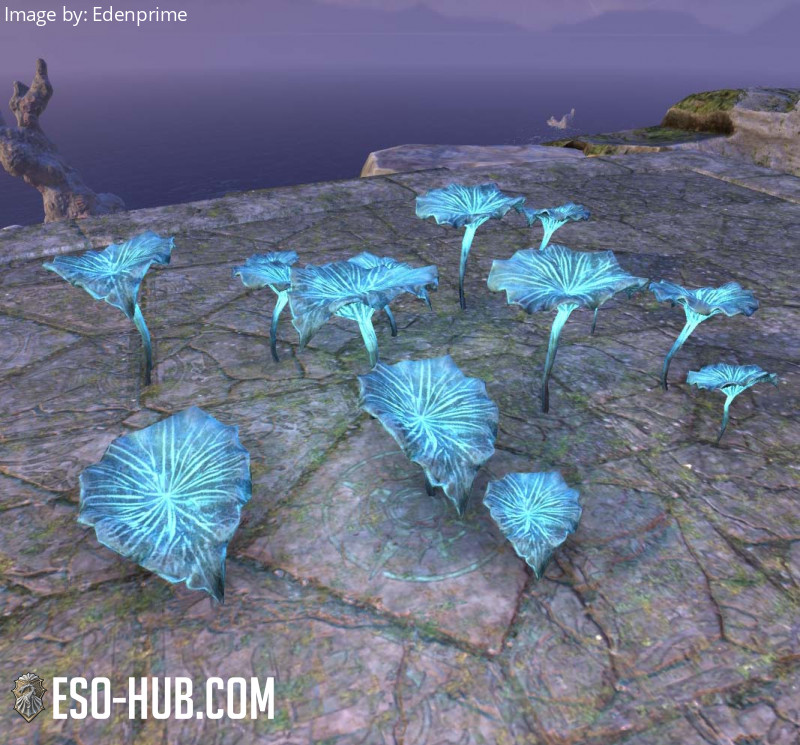 Mushrooms, Aether Cup Cluster