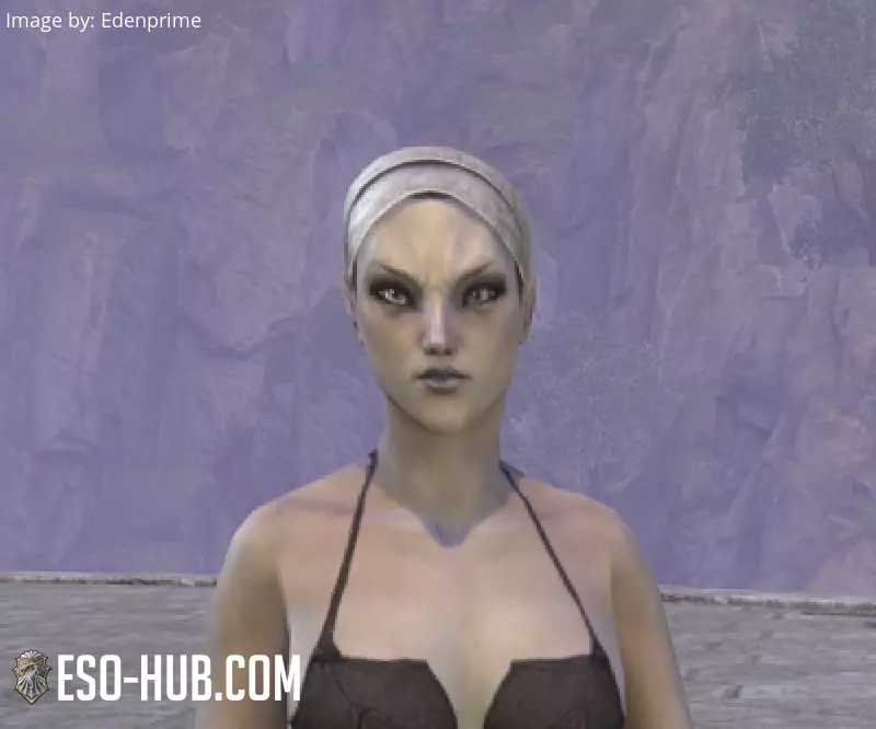 Image 1 of Battlefield Provisioner Hat ESO