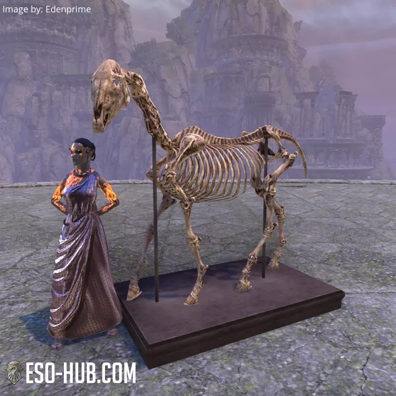 Image 1 of Horse Skeleton, Display ESO