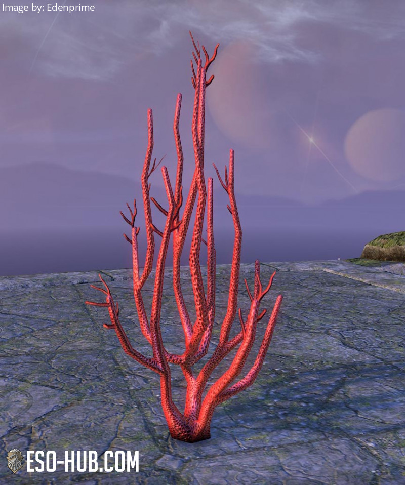 Coral Formation, Branching Red