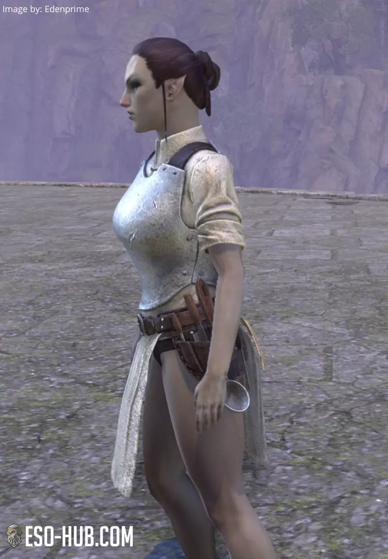 Image 2 of Battlefield Provisioner Apron ESO