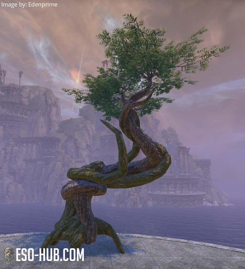 Tree, Twisted Dawnwood - ESO Hub - Elder Scrolls Online