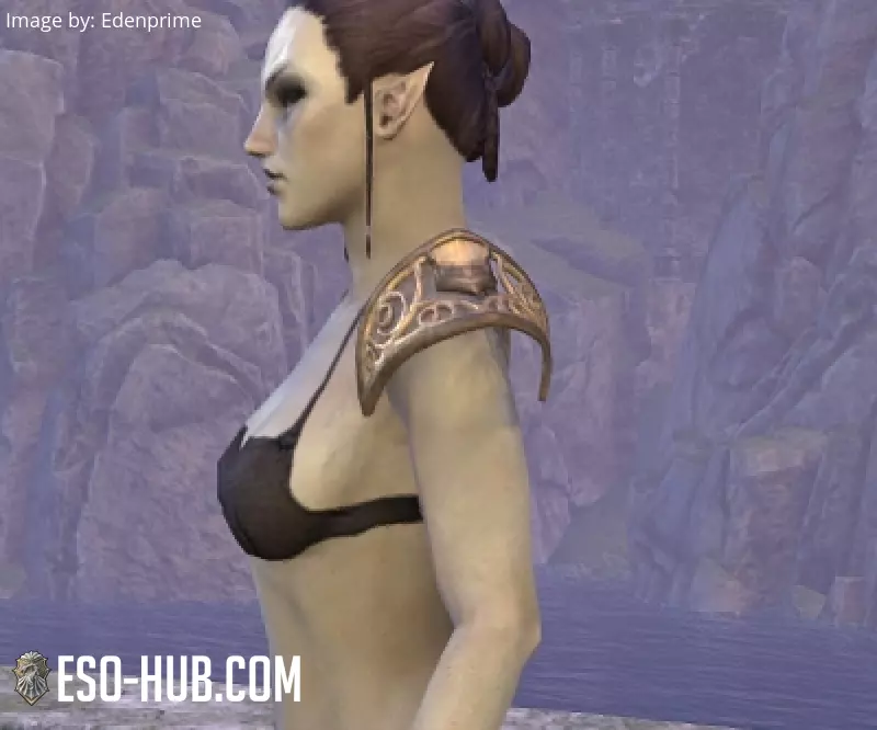 Image 2 of Kireth's Kit Arm Cops ESO