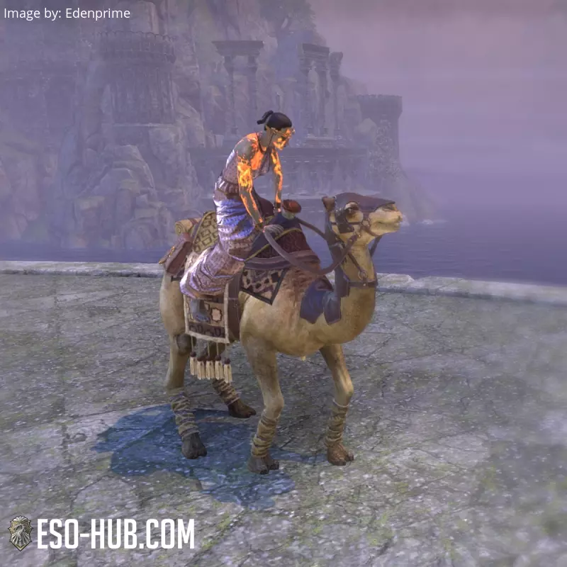 Image 3 of Hammerfall-Kamel ESO