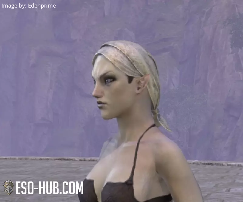 Image 2 of Battlefield Provisioner Hat ESO