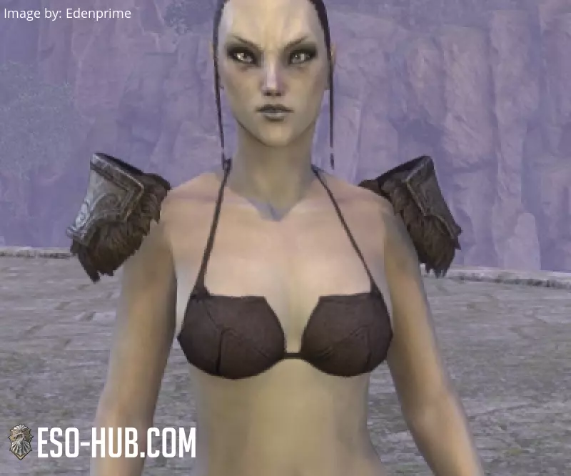 Image 1 of Espaldarones "del Cártel Lupino" ESO