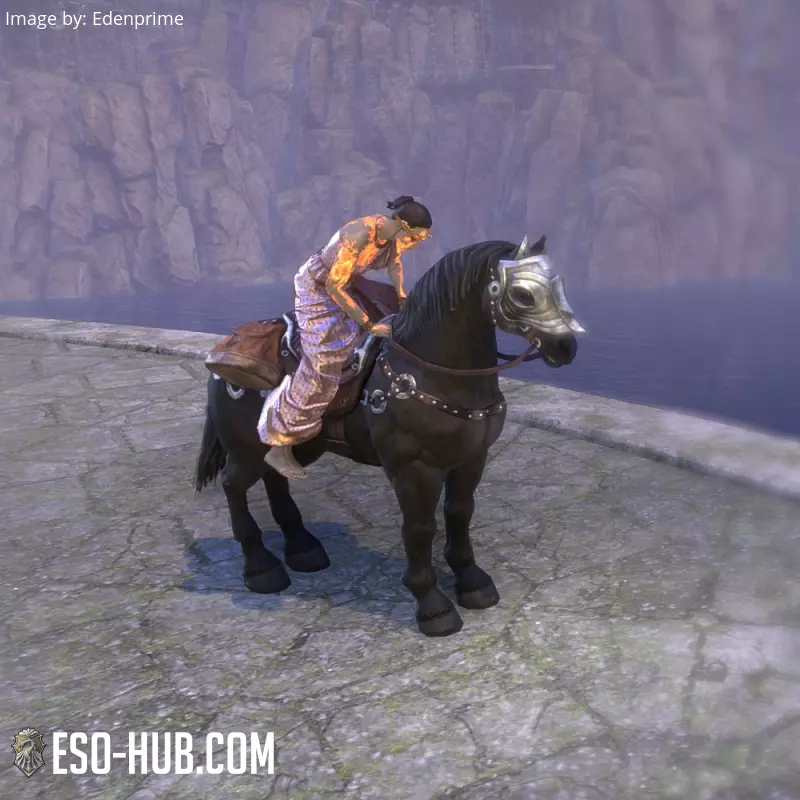 Image 5 of Corcel de medianoche ESO