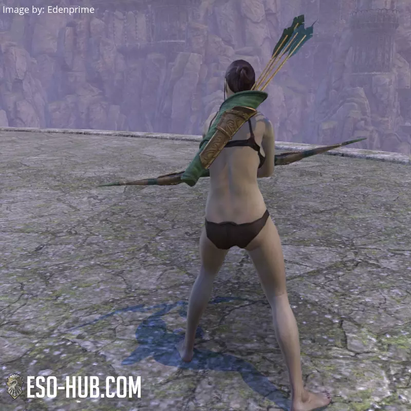 Image 2 of Arc de canaille charismatique ESO