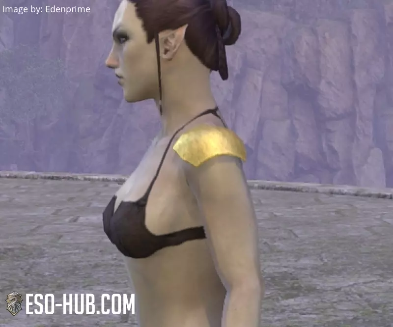 Image 2 of coques d'épaule de rebelle alessien ESO