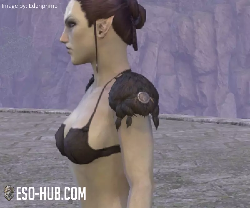 Image 2 of Coques d'épaules du cartel de Koldane ESO