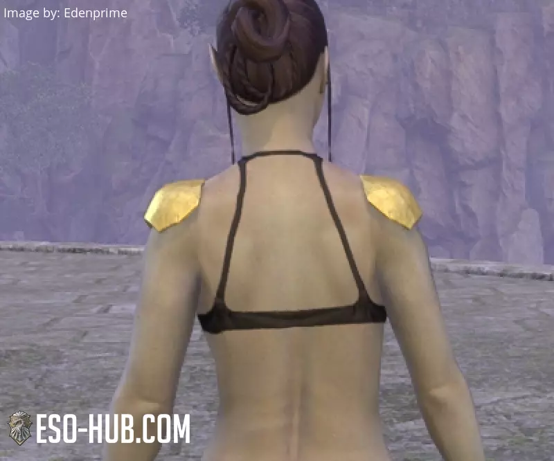 Image 3 of coques d'épaule de rebelle alessien ESO