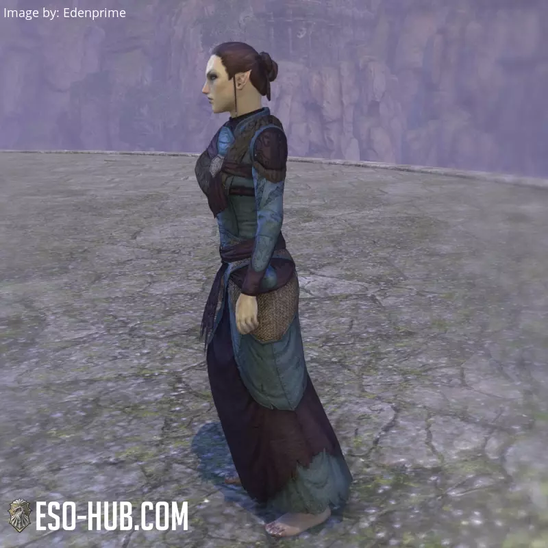 Image 2 of Túnica "del Cártel Lupino" ESO