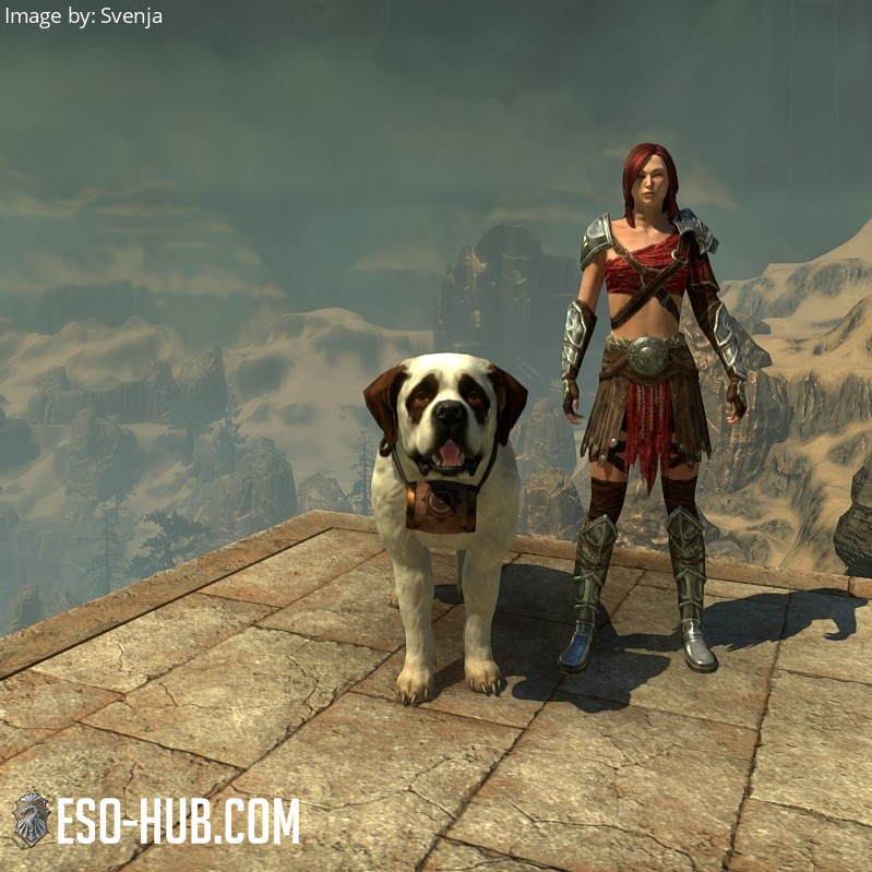 Jerall Rescue Dog - ESO Hub - Elder Scrolls Online