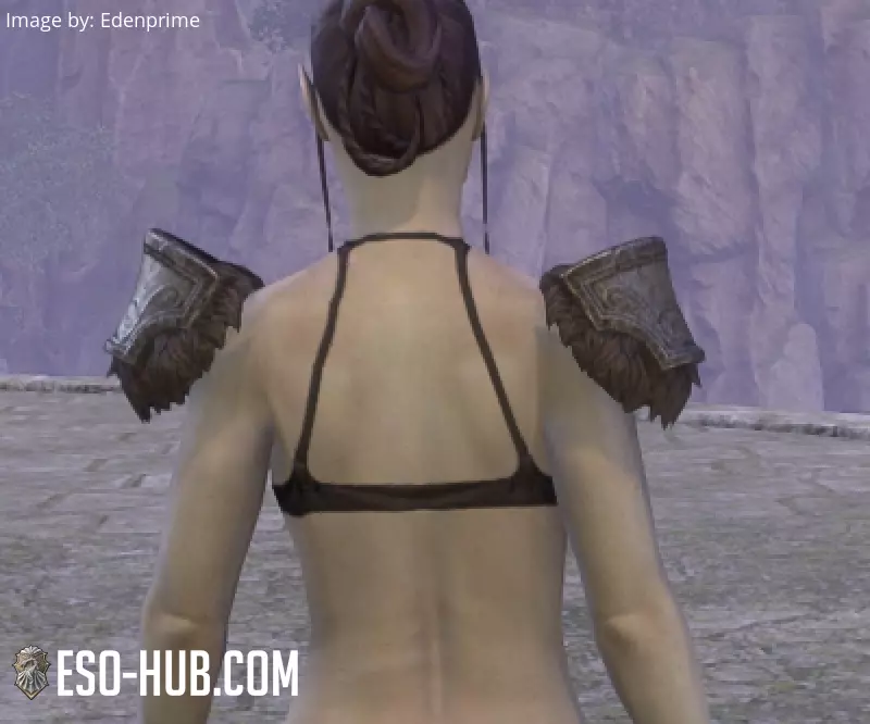 Image 3 of Espaldarones "del Cártel Lupino" ESO