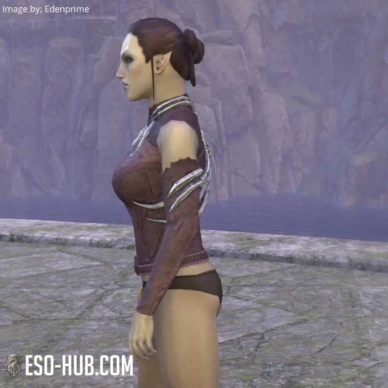 Image 2 of Zhekleg Jerkin ESO