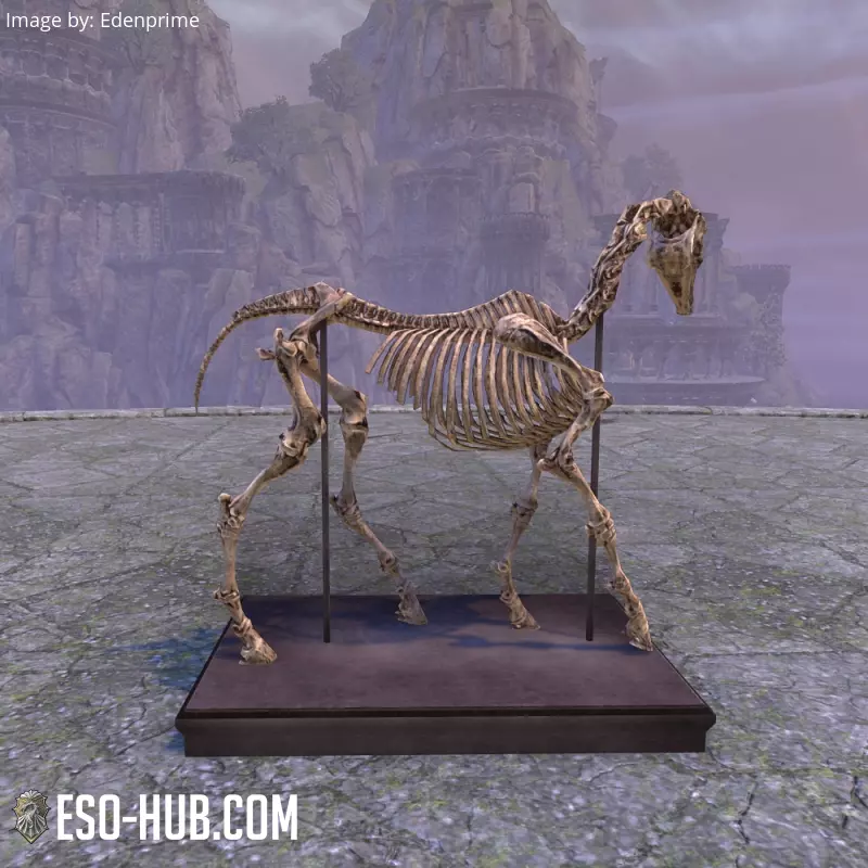 Image 2 of Horse Skeleton, Display ESO