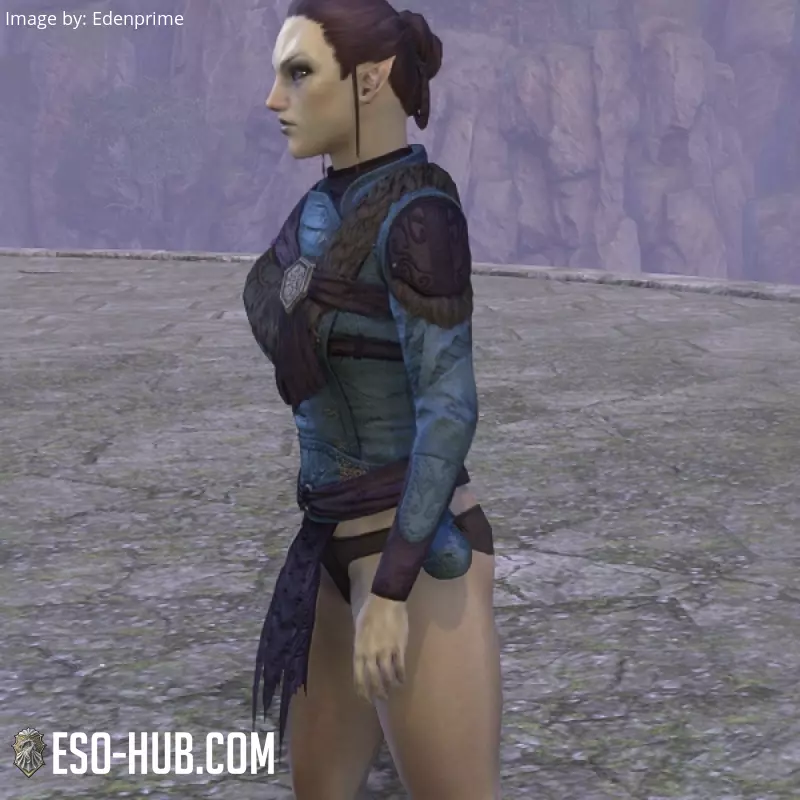 Image 2 of Jubón "del Cártel Lupino" ESO