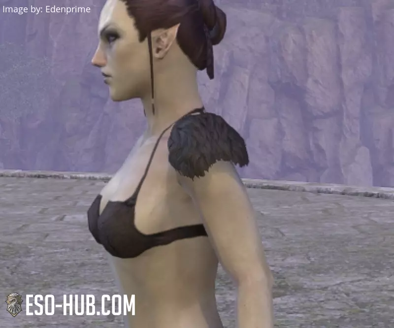 Image 2 of Charreteras "del Cártel Lupino" ESO