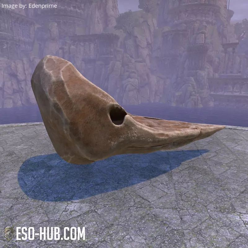Image 2 of Череп (китовый) ESO