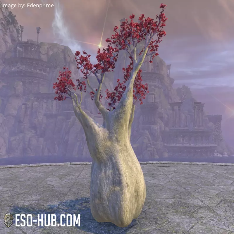 Image 2 of Árbol, sangre de dragón ESO