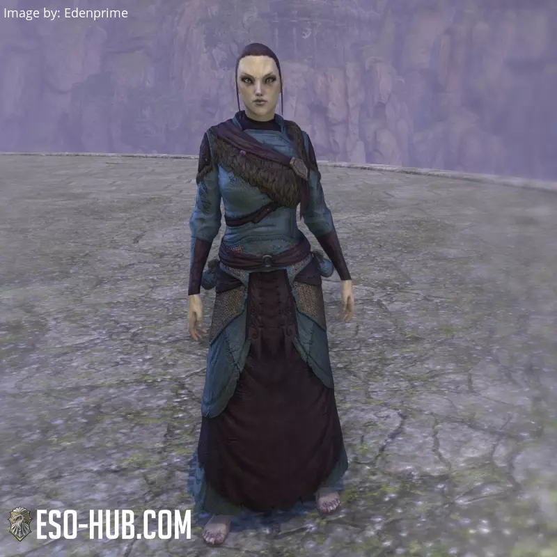 Image 1 of Túnica "del Cártel Lupino" ESO