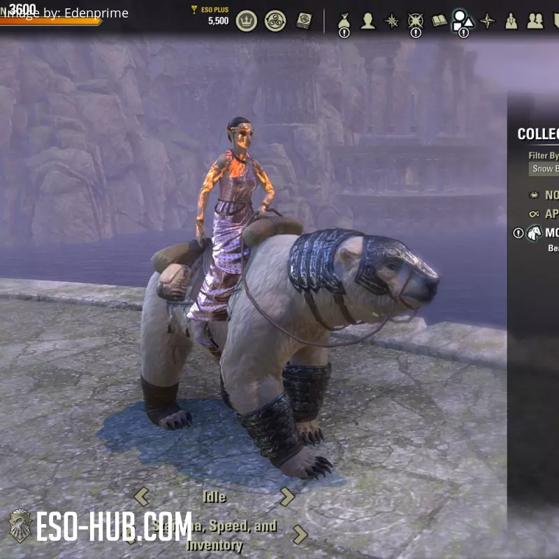 Image 2 of Schneebär ESO