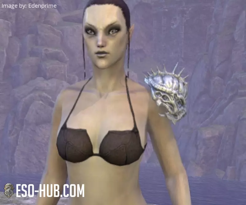 Image 1 of Mesa Stalker Epaulets ESO