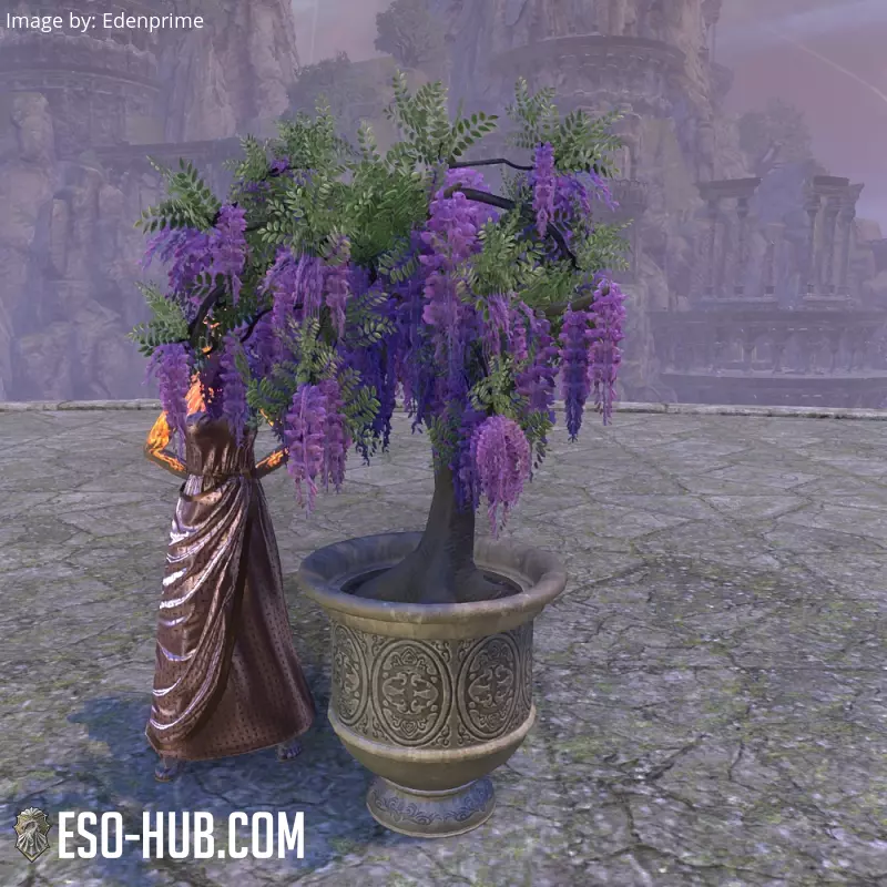 Image 1 of Maceta de Alinor, glicinia rosa ESO