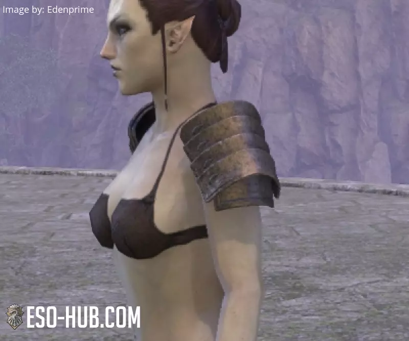 Image 2 of Espaldarones de mercenario pendenciero ESO