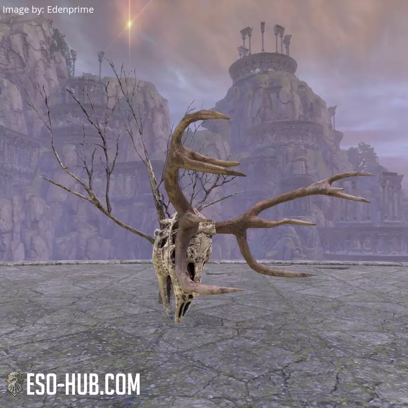 Image 2 of Reach Deer Skull, Wall Mount ESO