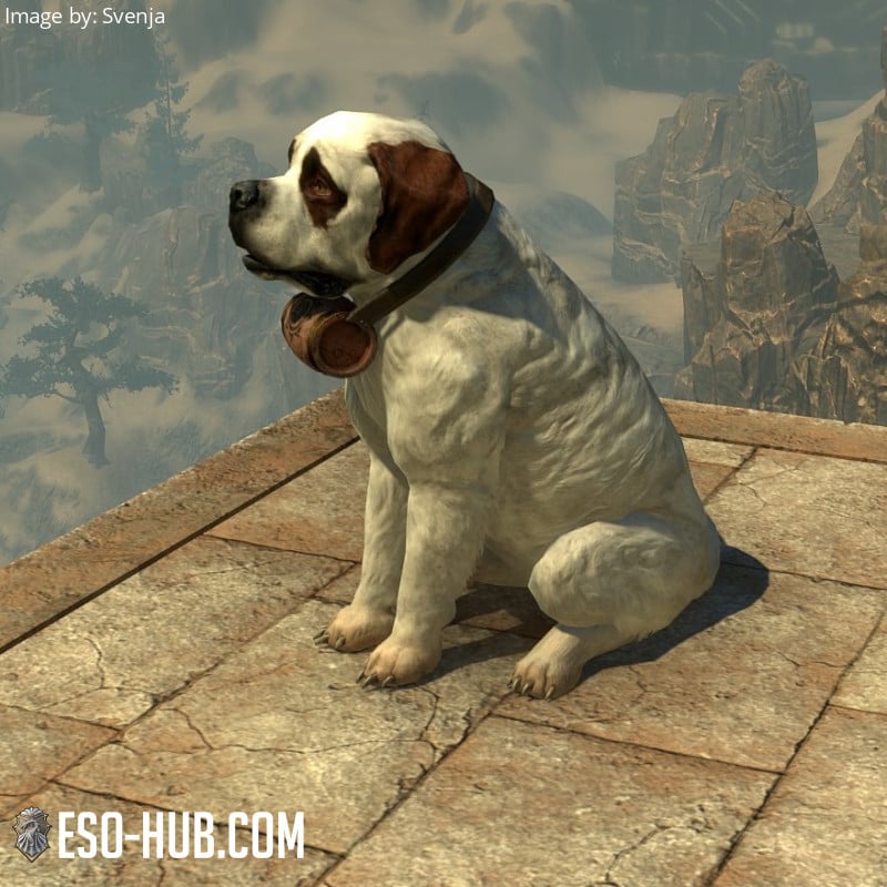 Jerall Rescue Dog - ESO Hub - Elder Scrolls Online