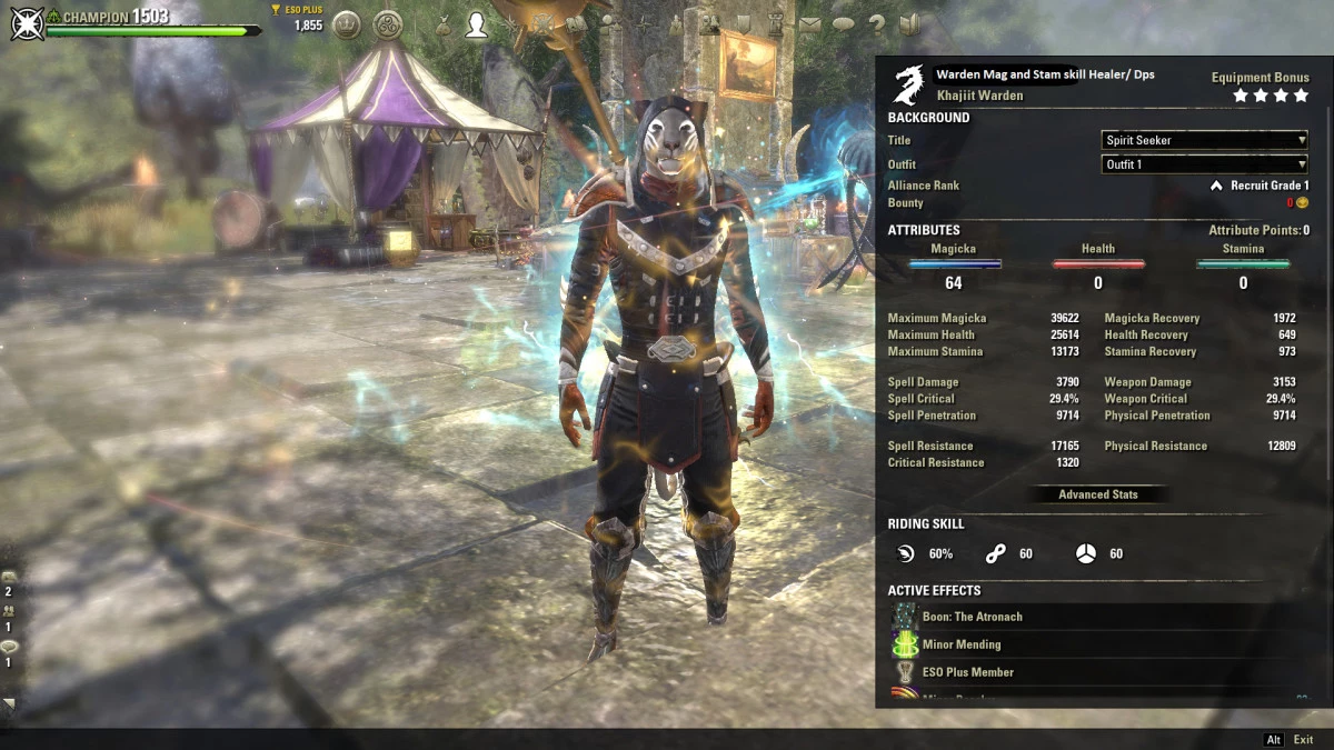Warden Mag / Stam skill Healer / Dps Support