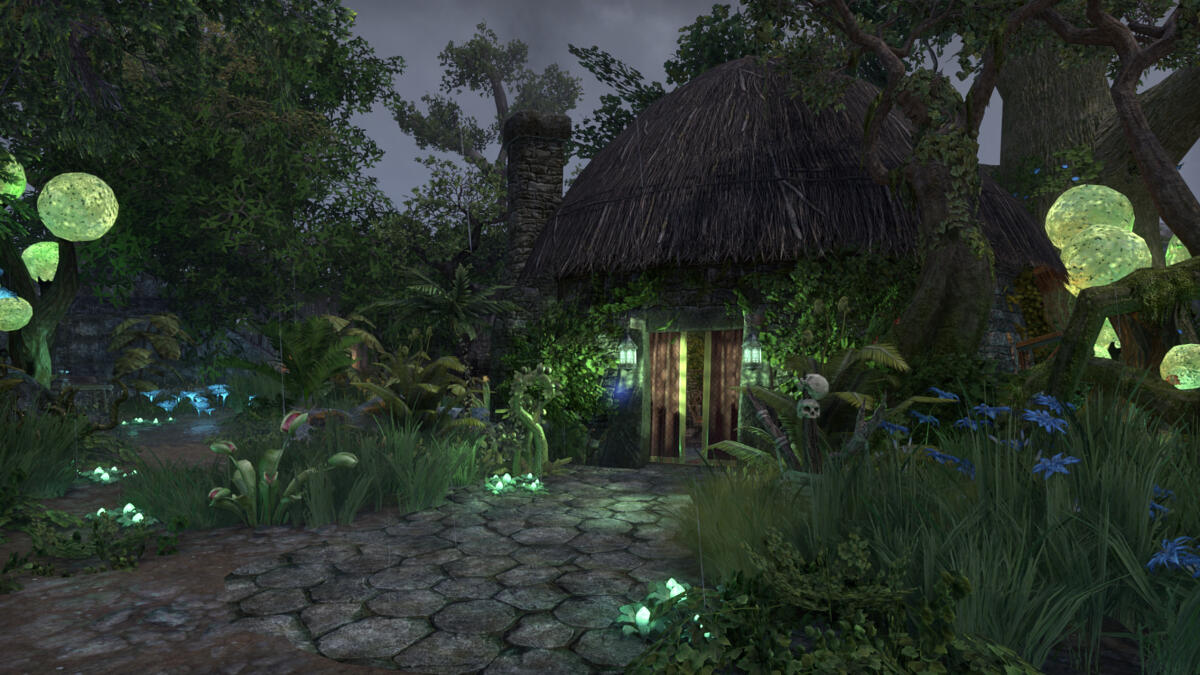 Enchanted Swamp