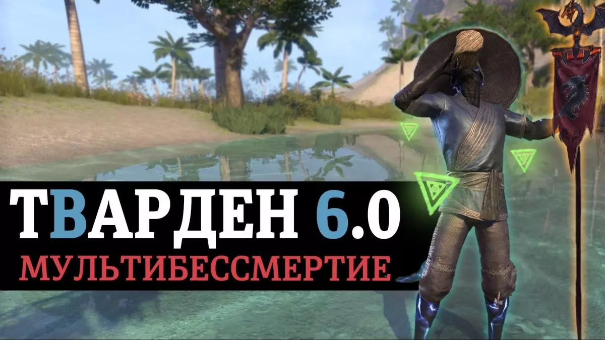 TVARDEN 6.0 Мультикласс