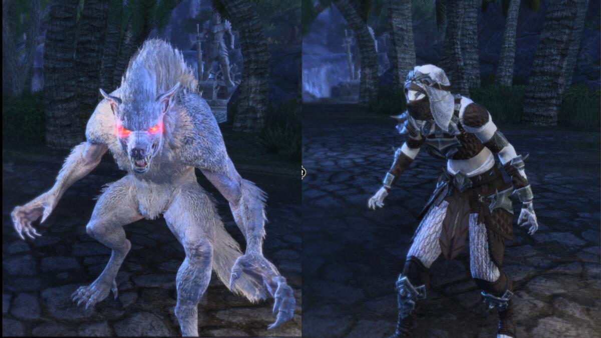 Sorc WW Raid support Dog