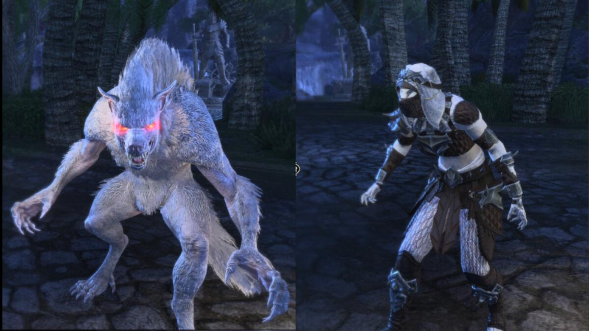 Sorc WW Raid support Dog