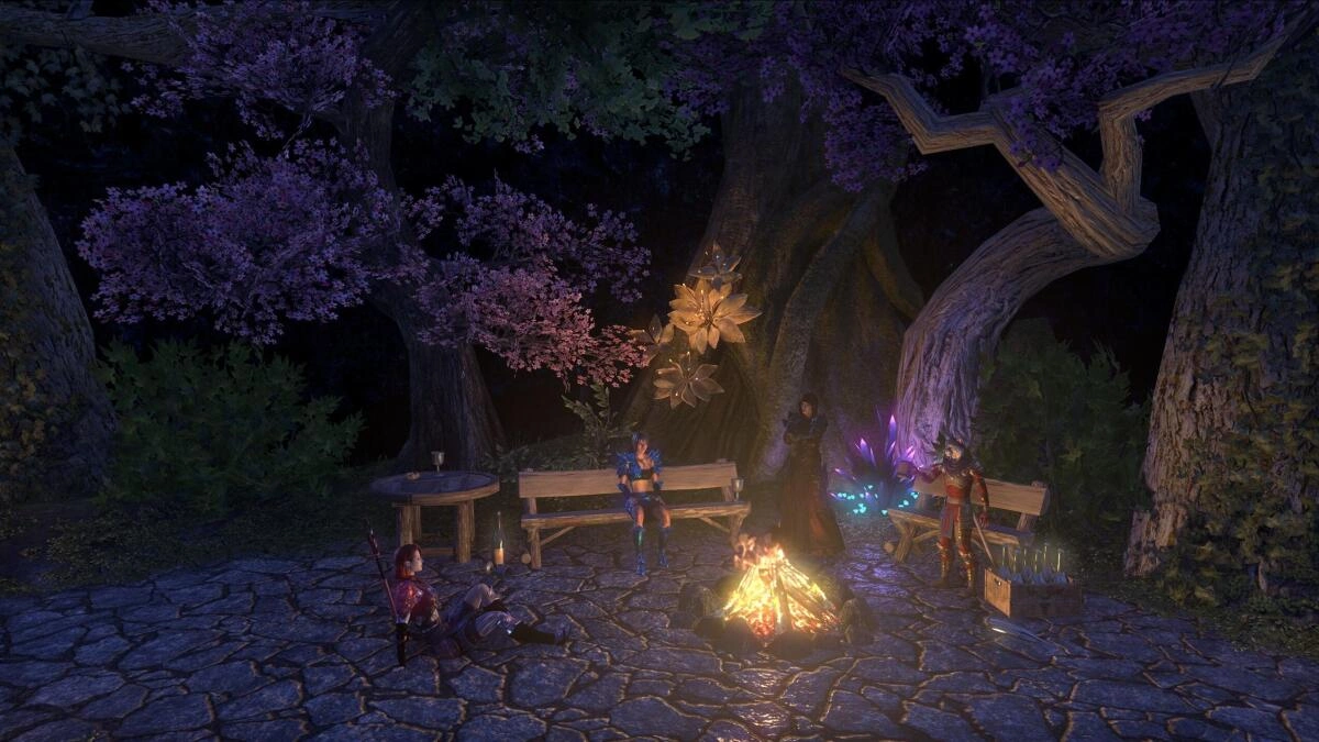 Camping with Friends