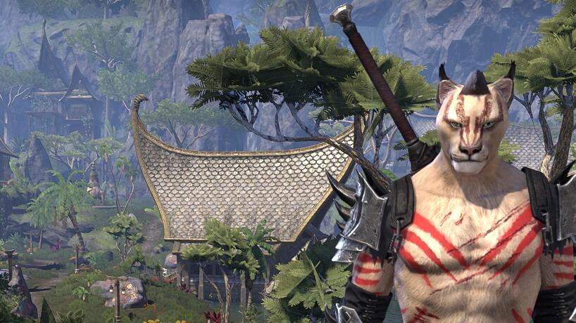 RP/Solo Stamina Dragonknight