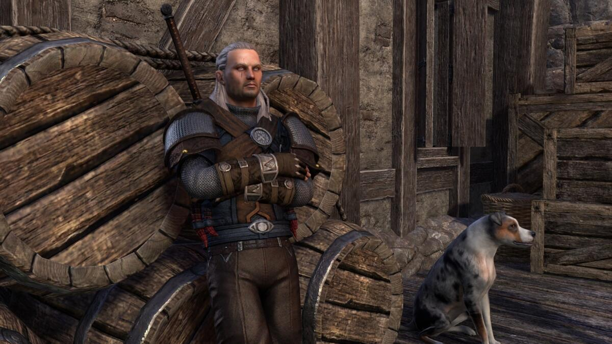 [Cosplay] Geralt of Rivia (TW3)