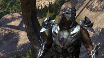 Warden - Battle Healer