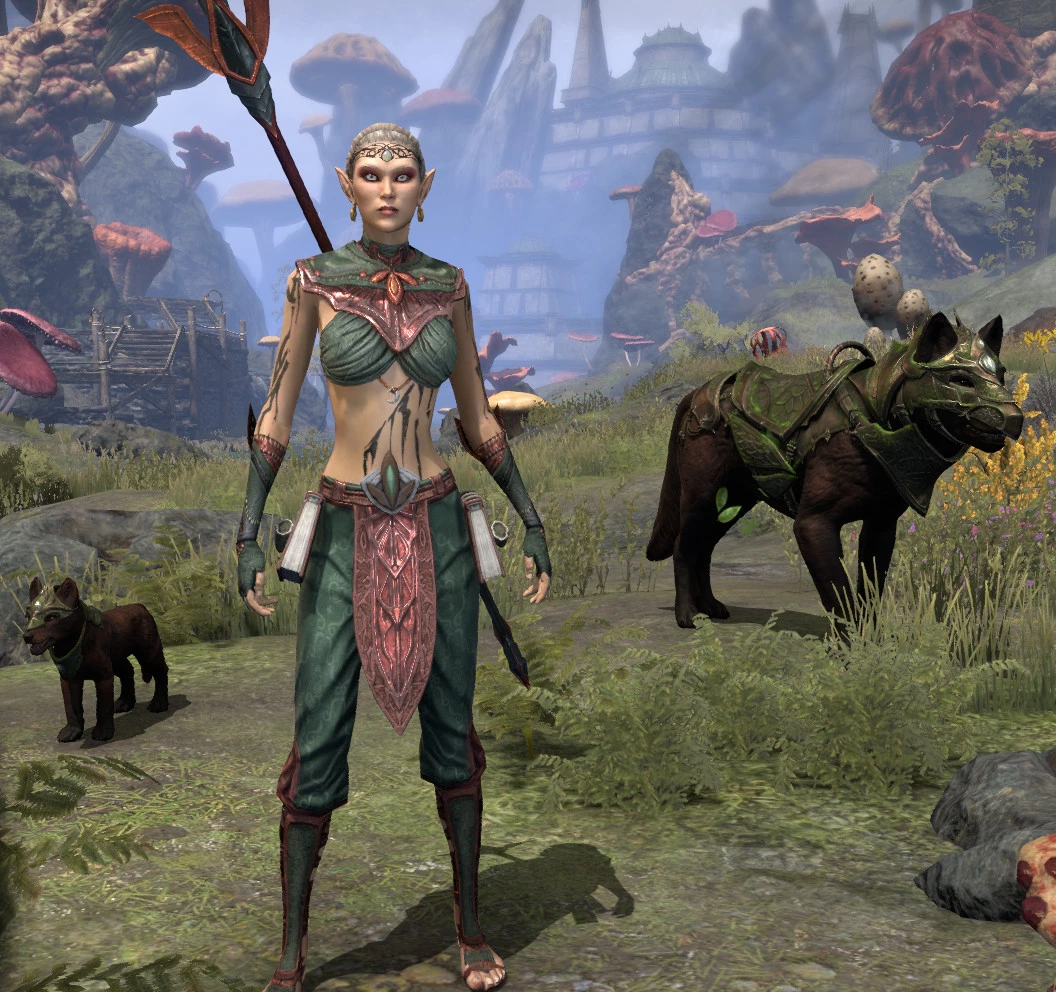 Screenshot_20240211_151214